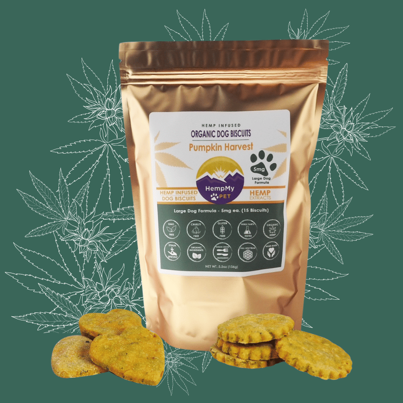 Large Dog Formula Organic Hemp Dog Treats, Pumpkin Flavor- 5mg each